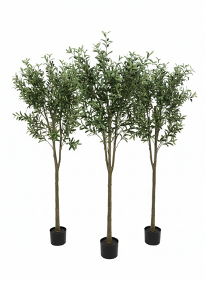 עץ זית מלאכותי